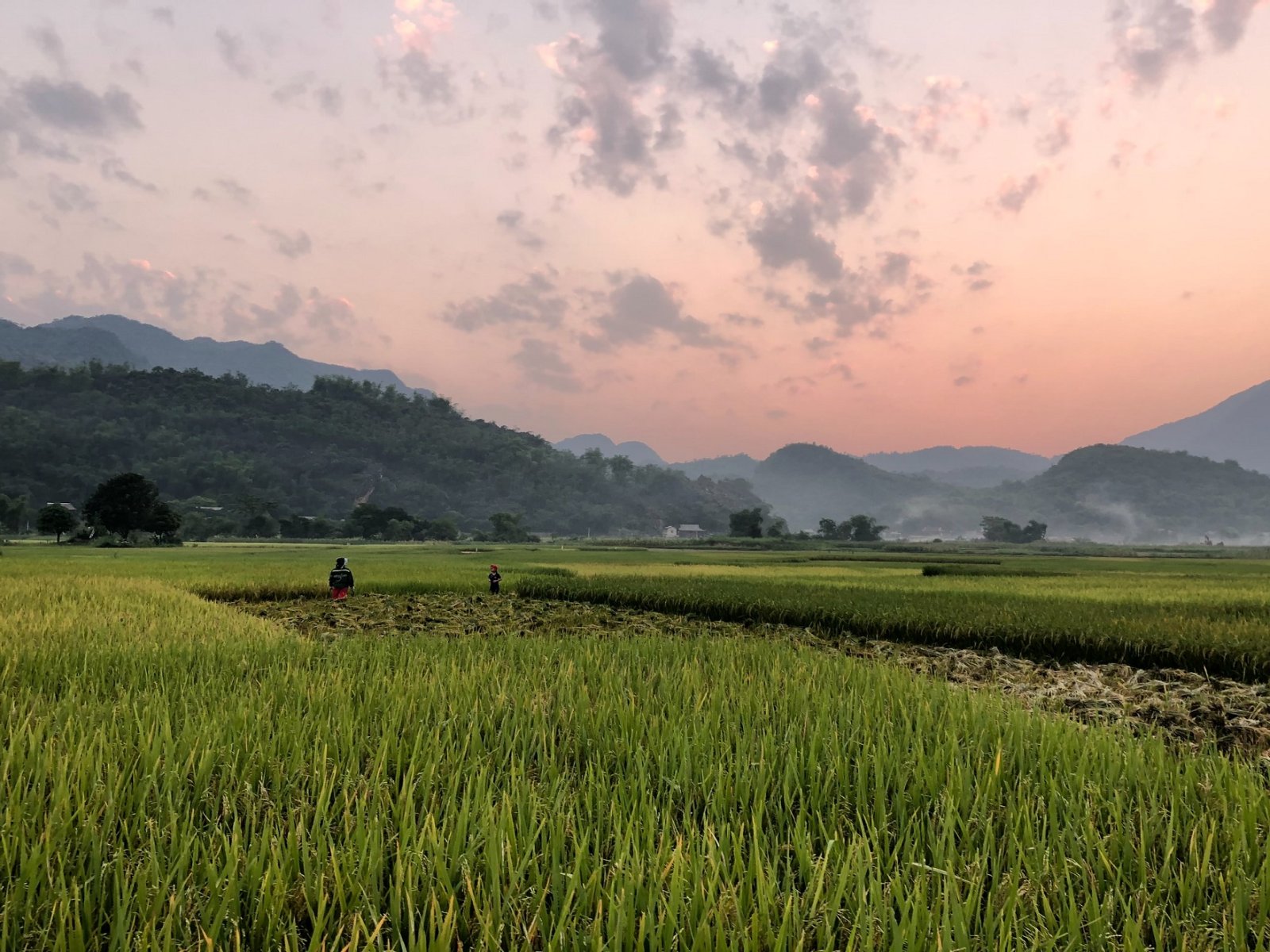 The Peaceful Mai Chau